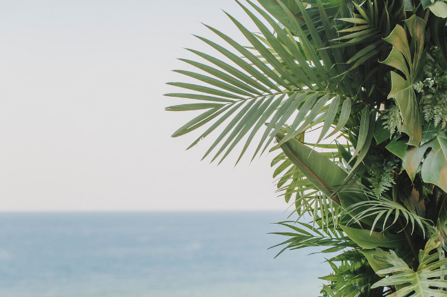 Tropical Destination Wedding At The Villa Amor