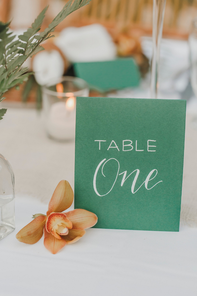 Tropical Destination Wedding At The Villa Amor