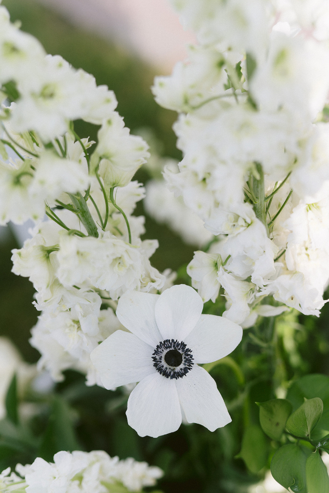 Modern & Simplistic Colorado Historic Estate Wedding