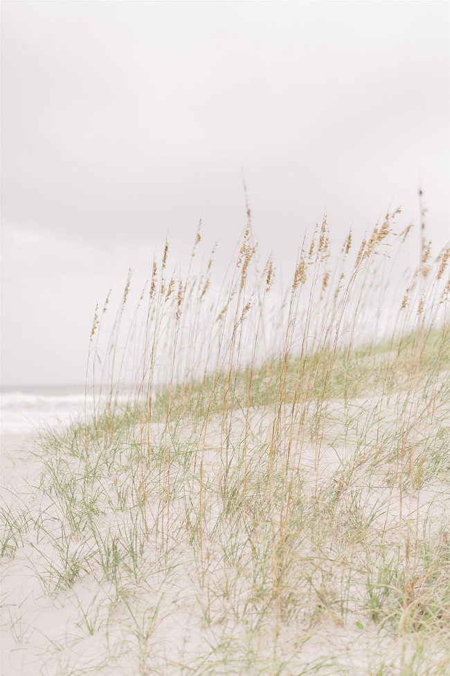 Timeless Wedding In Amelia Island, Florida